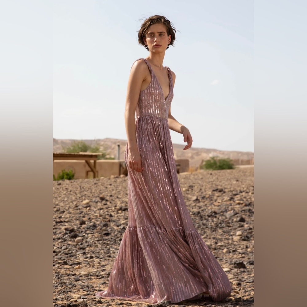 Sabina Musayev Pink Maxi Dress